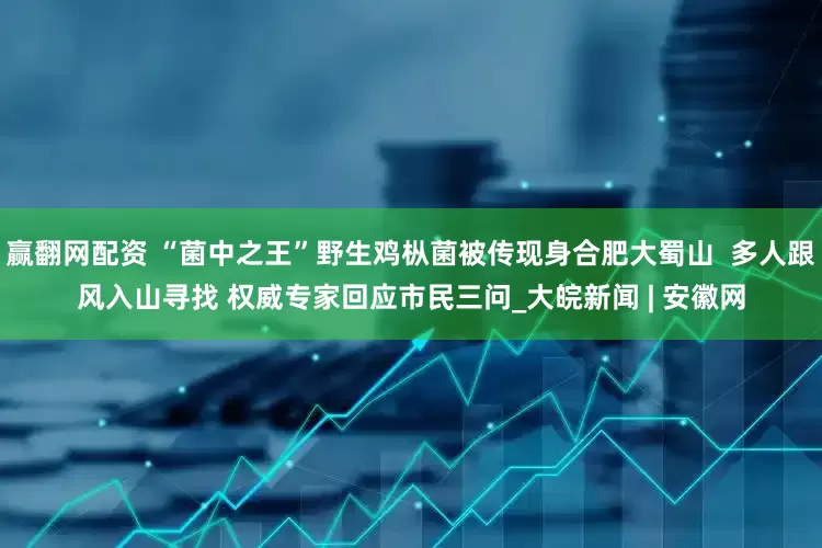 赢翻网配资 “菌中之王”野生鸡枞菌被传现身合肥大蜀山  多人跟风入山寻找 权威专家回应市民三问_大皖新闻 | 安徽网